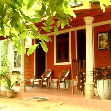 Angry Birds Homestay Хабарана Екстер'єр фото