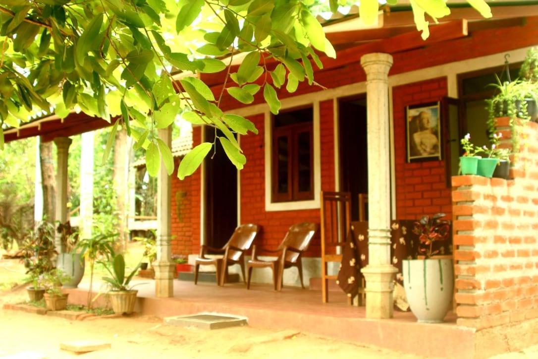 Angry Birds Homestay Хабарана Екстер'єр фото